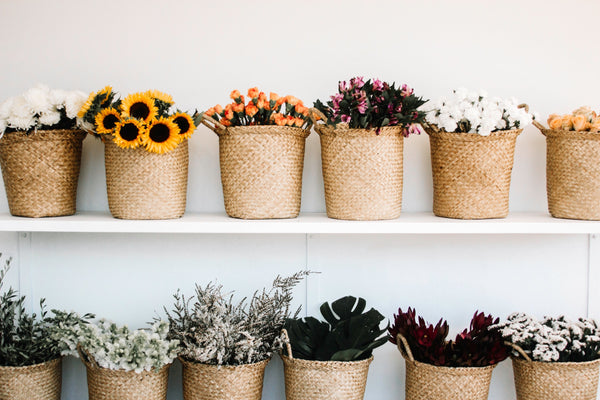 Florist Flowers vs Grocery Store Flowers: Understanding the Differences