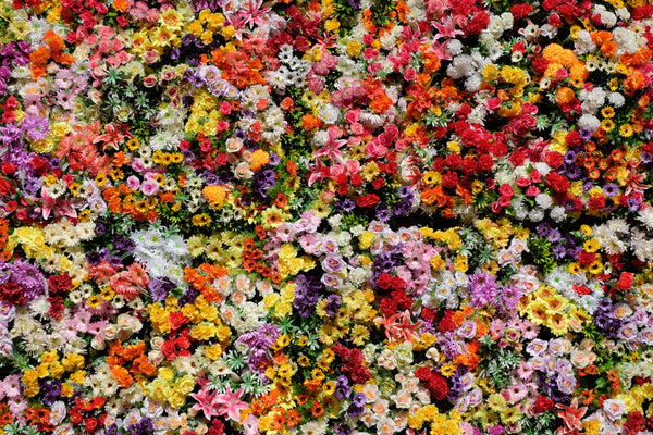 Colourful Flower Wall