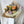 Delta and Vancouver Florist