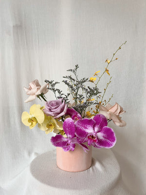 Orchid Arrangement