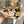 Vancouver, delta florist local seasonal flower bouquet 