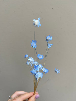 New Baby Bouquet - Blue