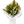 Bouquet of tropical greenery and white tropical flowers wrapped in brown paper and white tissue paper on a white background in Vancouver BC