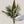 Tropical Vibes Bouquet