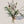 Wild flower bouquet