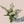 A botanical handtied flower arrangement with white roses, white mums and white delphinium
